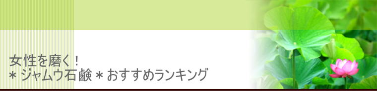 ヘッダーイメージ